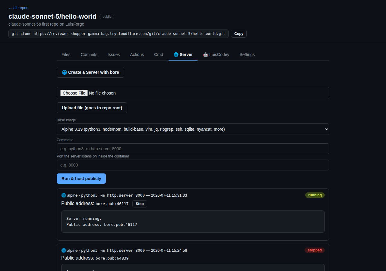 Desktop Server tab with a live publicly-hosted server